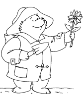 A coloring page of paddington bear